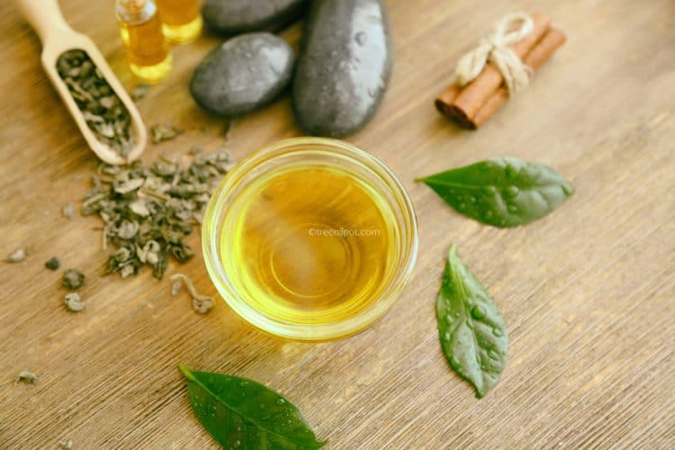 Make Pure Tea Tree Oil At Home