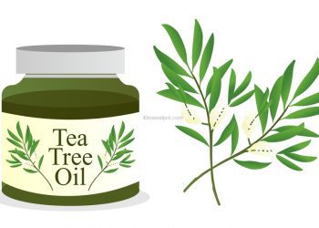 Pure Tea Tree Oil product