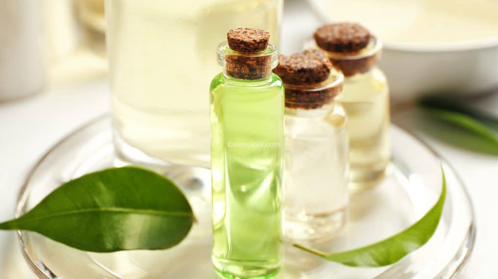 Tea Tree Oil for Hair