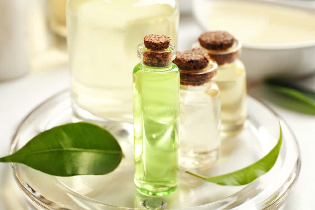 Tea Tree Oil for Hair