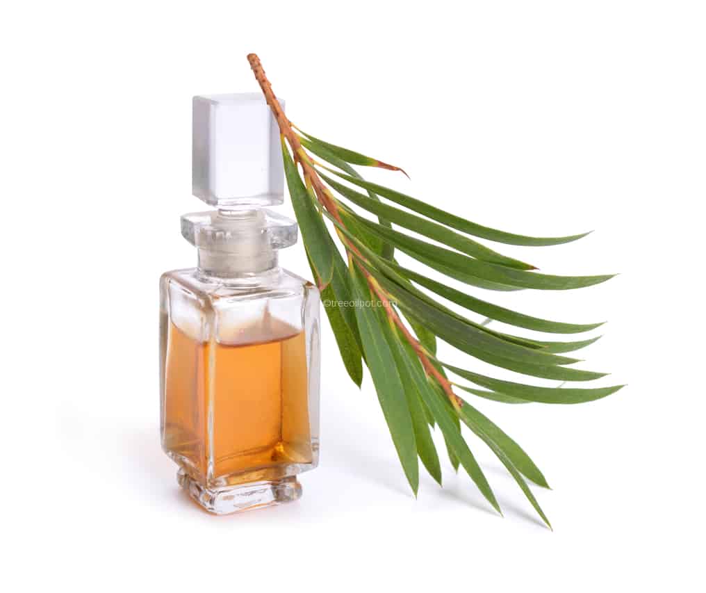 Tea Tree Oil Products