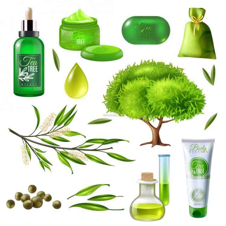 Tea Tree Oil Uses and Health
