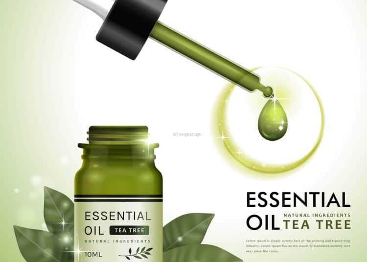 Buy Cheap Tea Tree Oil