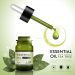 Buy Cheap Tea Tree Oil