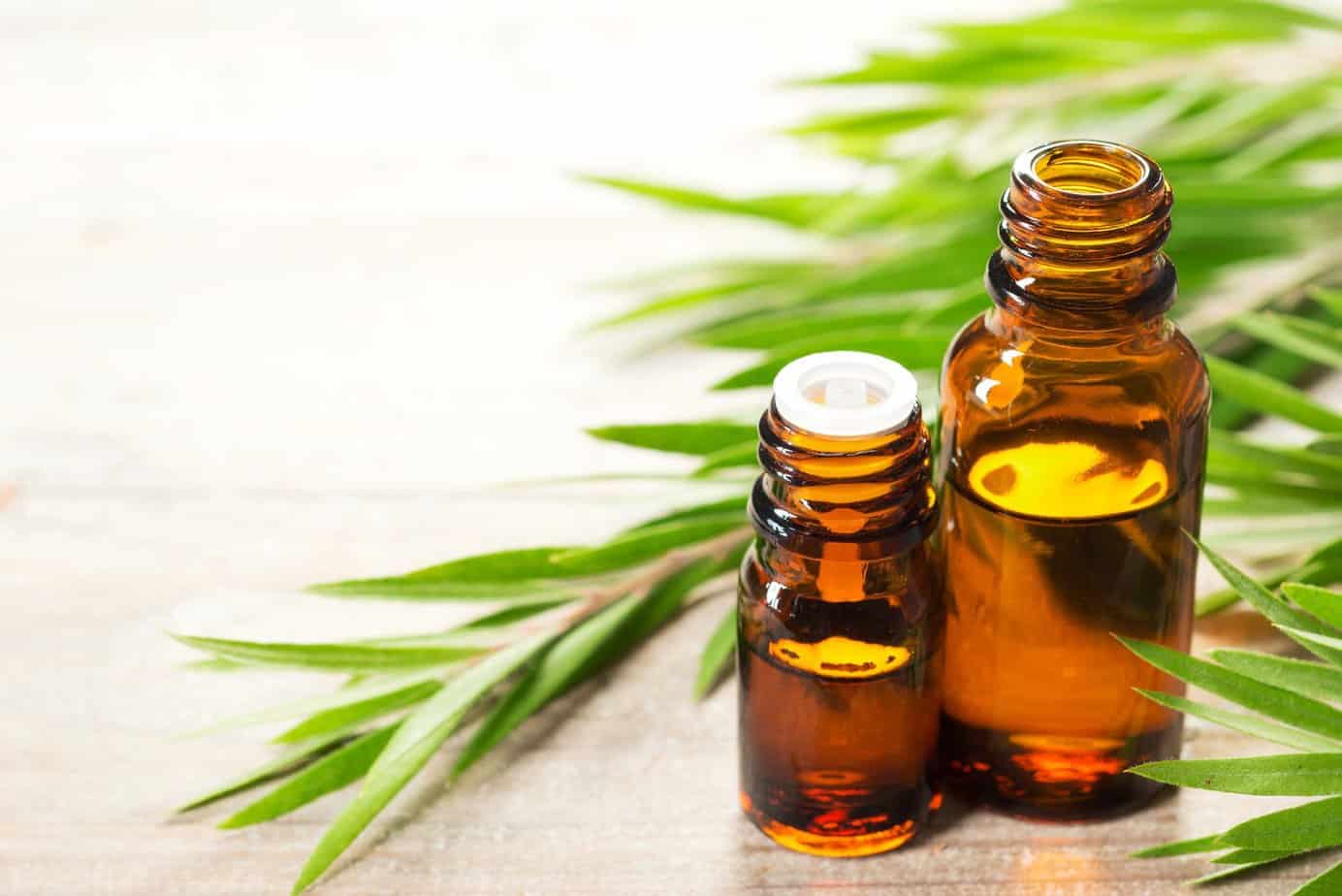 Tea Tree Oils