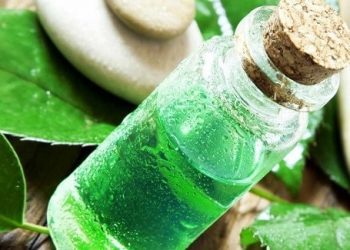 Tea tree Oil for Hair Growth