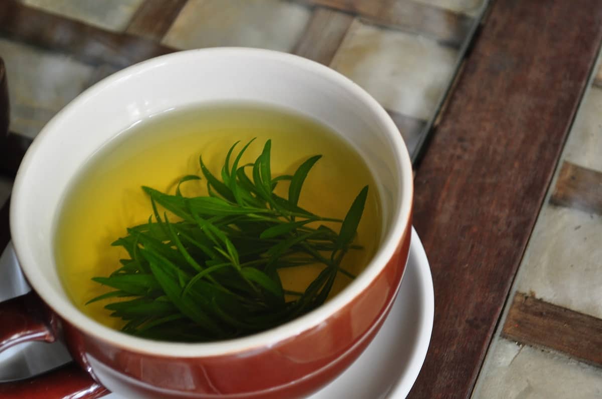 How to Dilute Tea Tree Oil