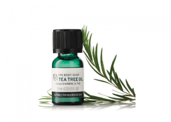 Buy Tea Tree Oil From Body Shop