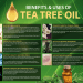 Pure Tea tree Oil Uses