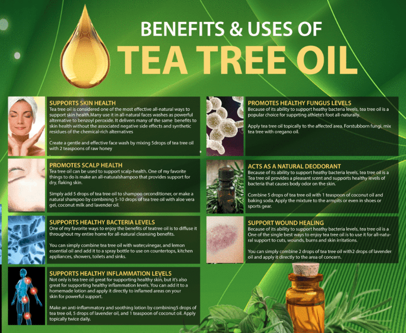Benefits and uses of pure tea tree oil
